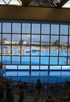 Oriental Resort