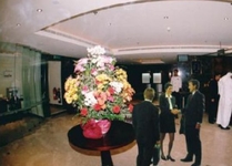 Mirador