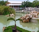 Фото Sandals Royal Hicacos