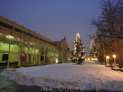 декабрь 2011г. Рождественская елка у Колоннады