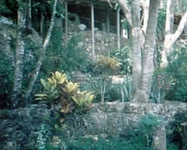 Iguana Creek Resort