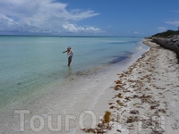 Островки Key West прекрасны, там много дайверов. Ну а мы просто валялись на пляже или в воде. Там так мелко, что особо не поплавать, можно именно валяться ...