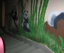 Фото Panda
