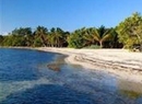 Фото Blackbird Caye Resort