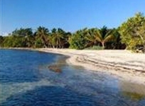 Blackbird Caye Resort