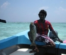 Фото Keyodhoo Guest House