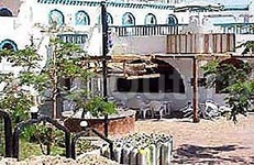 Barracuda Sharm