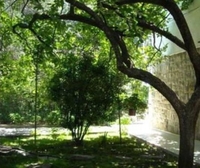 Фото отеля Apartments Herceg Novi
