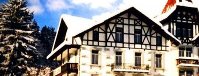 Alpina Hotel Interlaken