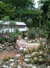 Большой раздел сада посвящен различным видам и сортам кактусов.