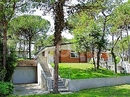 Фото Natalia Apt