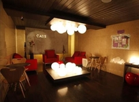 Cats Hotel