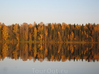 Золотая осень. Очей очарованье.