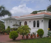 The Dolphin The Dolphin