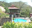 Фото Golden Frog Inn