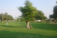 ОАЭ/Дубай Крик Парк. Местные  приезжают сюда большими сеьями и устраивают пикники на зеленых лужайках