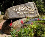 Amstardam Bar & Stone Hill Resort