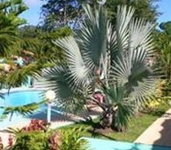 Hotel La Palmera