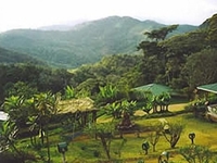 Finca Esperanza Verde