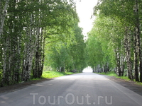 Просто симпатичная дорога на Урале