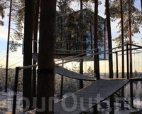 Фото отеля Tree Hotel