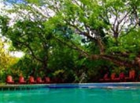 Hotel Playa Hermosa Bosque del Mar Culebra