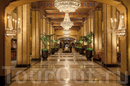 Фото The Roosevelt Hotel New Orleans - Waldorf Astoria Hotels & Resorts 