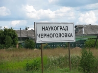 Черноголовка