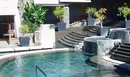 Фото Royal Palm