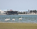 Фото Protea Hotel Walvis Bay