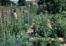 Domačija Novak Domačija Novak