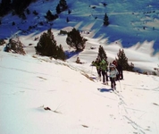 Apartamento 2/4 Cortals Apartamento 2/4 Cortals