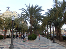 Но и сам город Аликанте очень зеленый и пальмы в нем растут стройными рядами на знаменитой Экспланаде, аллеях и в небольших скверах.
Кстати, Union&Fenix ...