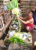 флорист на рынке