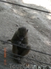 Зоопарк в Хамат Гадер!
обезьянка жует жвачку!!!