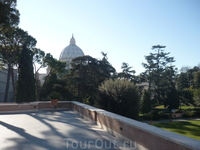 Ватикан Ватикан