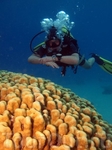 Открытый космос под водой, в районе кораллового заповедника Эйлата