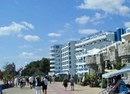 Фото Blue Pearl (Блу Перл)