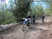 Не только велобайкеры колесят по трассам Израиля. Очень популярен тут подобный вид активного отдыха.