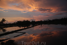 Закат над рисовым полем - вид с нашего номера отеля в Убуде...