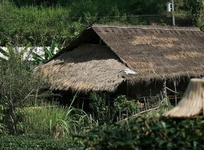 Akha Hill House