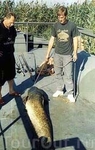 Сом 46 кг. Пойманный в дельте Волги рыбаками из города Балаково