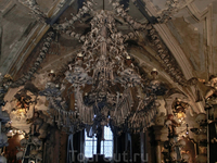 Люстра барочного вида сделана не из дерева, а из элементов скелетов и подвешена на гирляндах из челюстей. 