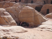 бедуины