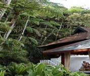 Cameron Highlands Resort