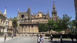 Sevilla - Catedral