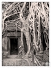 Ангкор Ватт 12 