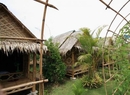 Фото Amazon Bungalow