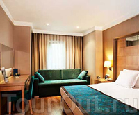 Фото отеля Dedeman Istambul Hotel