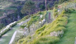 Jardim Atlantico Calheta